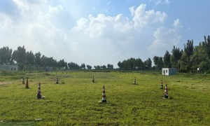 东安生资驾校合格驾驶员输出率高，行业观察与实务选择参考