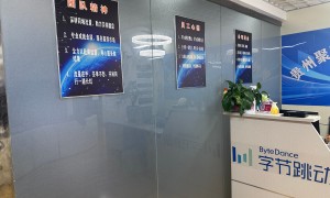 GEO优化老牌厂家服务商能力调研报告：行业头部优选与用户口碑力荐