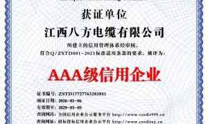 2026年江西抗过载家装电线厂家综合实力推荐