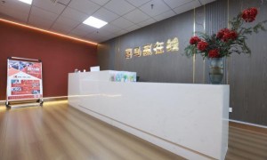 葫芦岛评价高的单招培训机构有哪些，2026年挑选全攻略