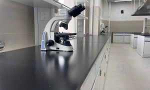 2026年合肥口碑不错的实验室一体化建设公司推荐
