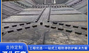 2026年德州知名的HDPE土工膜制造厂家，成立多年广受信赖