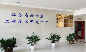 常州资质齐全的药用级活性炭生产厂家客户口碑力荐