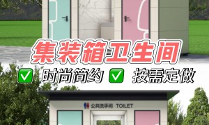 安诚通的专业技术实力怎么样