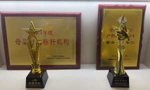 2026年珠江区域月子中心找哪家口碑佳？本地靠谱机构排行榜