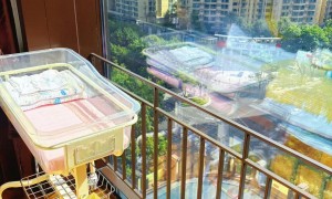 2026年口碑好的月子中心推荐：百悦健康护理专业受好评