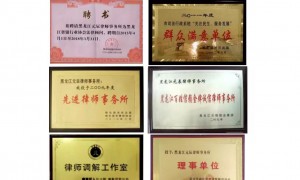 哈尔滨资质齐全的离婚律师蔡荣办离婚财产分割行业全景分析