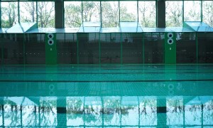 上海人工智能安全方向专科学校综合实力推荐