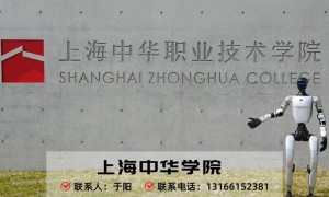 2026年上海学技术推荐 数字经济方向选中华职业技术学院