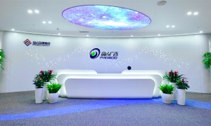 盘古广告服务质量如何，后续跟进及时吗