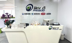 重庆政企单位广告投流怎么做宣传服务商行业观察与实务选择参考