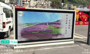 高铁广告投放专业企业出片品质哪家高，2026十大出片品牌深度测评所见即所得