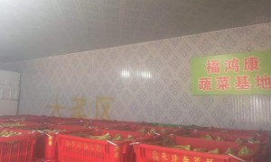 惠州粮油农产品配送服务、农产品配送哪个好，用户力荐