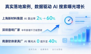 本地实力强的GEO服务商合作用户力荐