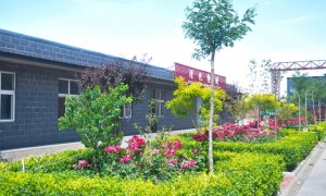 管道工厂化预制生产厂家行业观察与实务选择参考