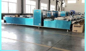 2026年评价高的拉伸膜真空包装机全自动包装机源头生产厂家推荐