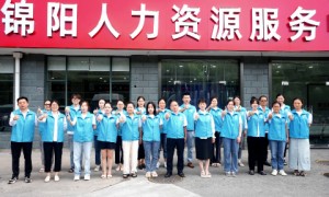 浙江锦阳人力的服务是否有亮点