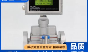 2026年气体涡轮流量计生产厂家实力与用户口碑深度解析