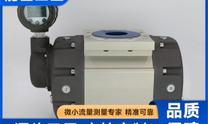 气体腰轮流量计带温压补偿 精度1.0级 压缩空气系统能耗核算专用