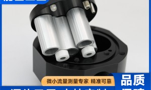 2026年售后完善的微小气体腰轮流量计生产企业推荐实力参考