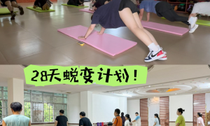 钦州激进健身馆夏季不闷热塑形训练营口碑力荐
