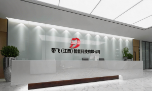 赣州本地AI问答服务商带飞智能，基于大语言模型的问答交互系统，配备实时数据分析后台，满足营销获客需求