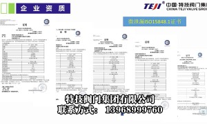 做天然气球阀有的企业推荐、做天然气球阀有标准认证的厂家推荐、做深海天然气开采用球阀的企业推荐