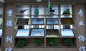 2026年青海观若律师事务所，行业观察与实务选择参考