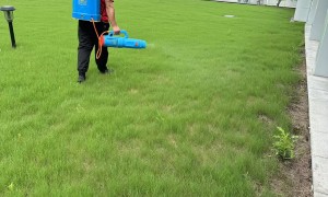 2026年资质齐全的专业灭蟑螂机构筛选名录