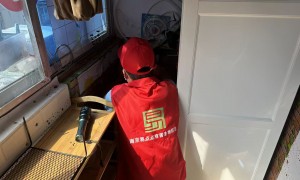 南京马蜂窝清除服务商选择指南 安全高效去除马蜂窝巢穴