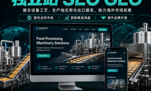 四川独立站SEO+GEO一体化方案怎么选？内容资产与AI曝光并重，才能长期获客