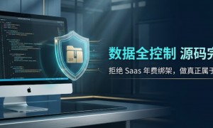 外贸独立站询盘转化路径优化服务商能力调研报告
