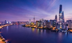 2026年嘉兴口碑好的AI搜索优化服务商服务覆盖实力分析