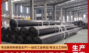 2026年土工膜有生产基地的源头工厂客户口碑力荐