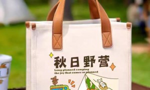 2026年时尚的帆布包供应商推荐，适合上班族的帆布包加工厂有哪些