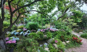 2026年花境植物批发市场靠谱供应商测评排名