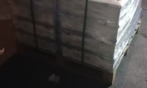 四氟轴承加工厂交货快 行业优选实力盘点
