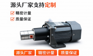 珠三角小型齿轮泵企业有哪些，挑选全攻略