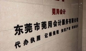 东莞有什么公司能办个体户核定征收靠谱、东莞想要高稳定做个体户核定找哪家、东莞能提高个体户核定通过率的公司推荐