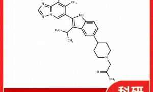 全球热门的Afimetoran定制研发厂家TargetMol，用户口碑力荐