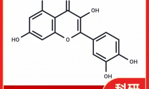 槲皮素提取物生产厂家怎么选？TargetMol支持定制包装与批次溯源