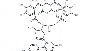 Punicalagin加工厂价格合理吗，行业现状与选择指南