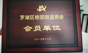 私生子继承权案件律师怎么选 深圳李洪刚律师注重证据收集与权益平衡