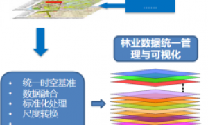 2026年智慧林业系统制造商选购参考汇总：正规源头企业分析