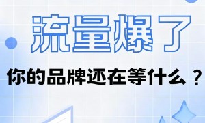 我做外贸想做海外AI品牌优化推荐公司，服务实力参考