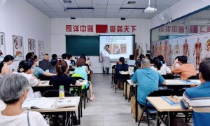 广东针灸培训实力公司哪家权威，实力参考
