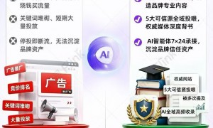 深圳豆包GEO推广服务商实力与用户口碑深度解析