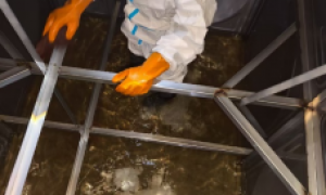 山东做生活水箱清洗的正规公司有哪些？特易洁合规服务商汇总