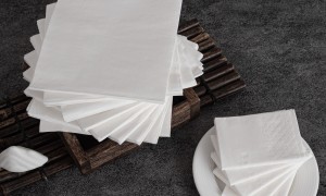 餐巾纸厂商哪家好 深耕纸品行业30年的源头生产厂家选购参考汇总
