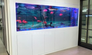 滁州海水生态鱼缸厂家：口碑好的生厂商实力与用户口碑